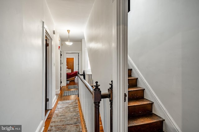 hall featuring wood finished floors