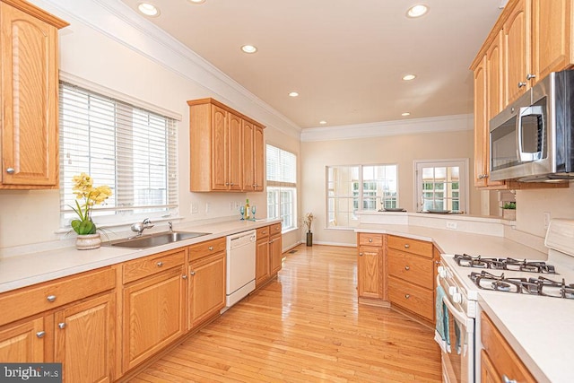 kitchen featuring light wood finished floors, light countertops, white appliances, and a sink