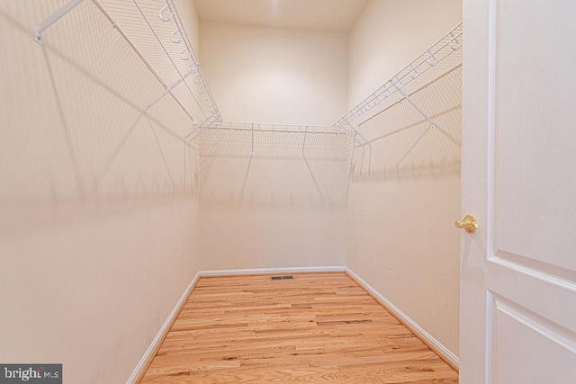 walk in closet featuring light wood-style floors and visible vents