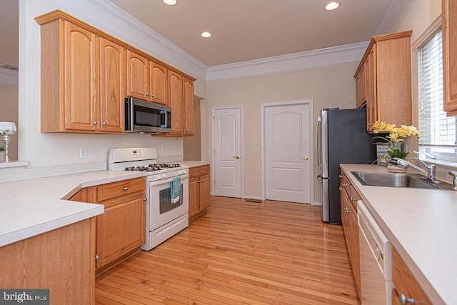 kitchen with crown molding, stainless steel appliances, a sink, and light wood-style flooring