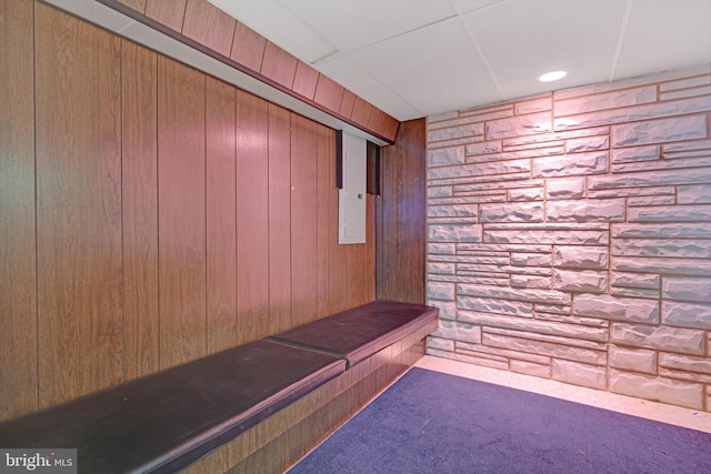 mudroom with electric panel, wood walls, and carpet floors