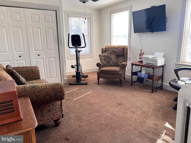 living area featuring carpet and baseboards