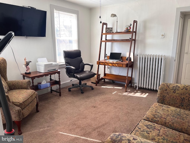 office space featuring radiator heating unit, carpet, and baseboards