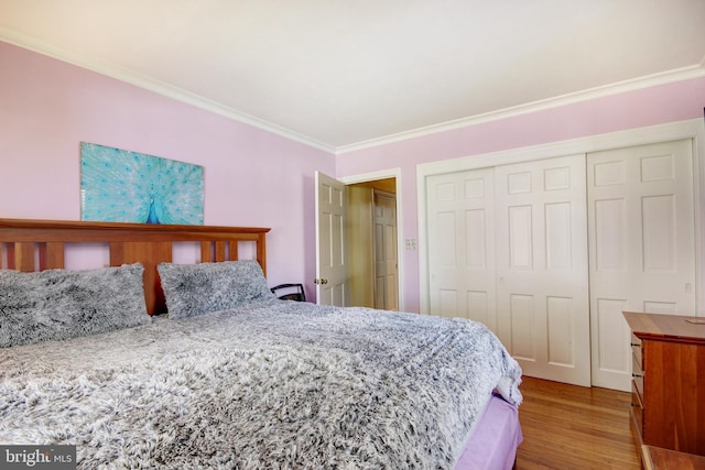 bedroom with a closet, crown molding, and wood finished floors