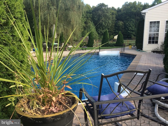 pool with a patio area