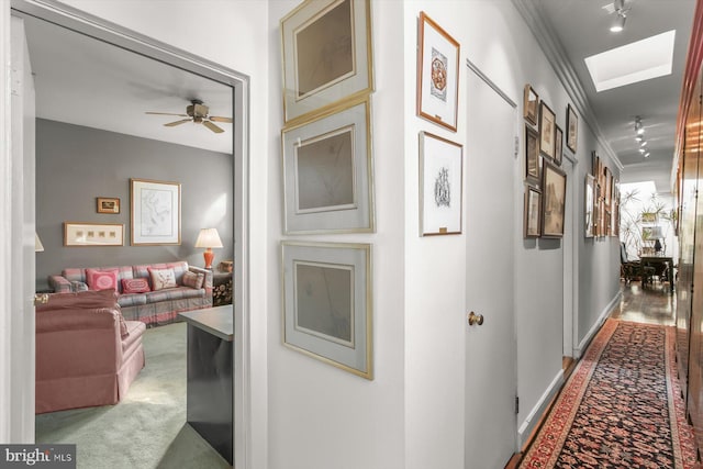 hallway featuring ornamental molding, a skylight, and carpet flooring