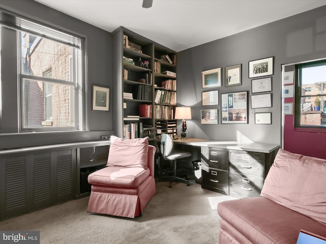 living area with carpet floors