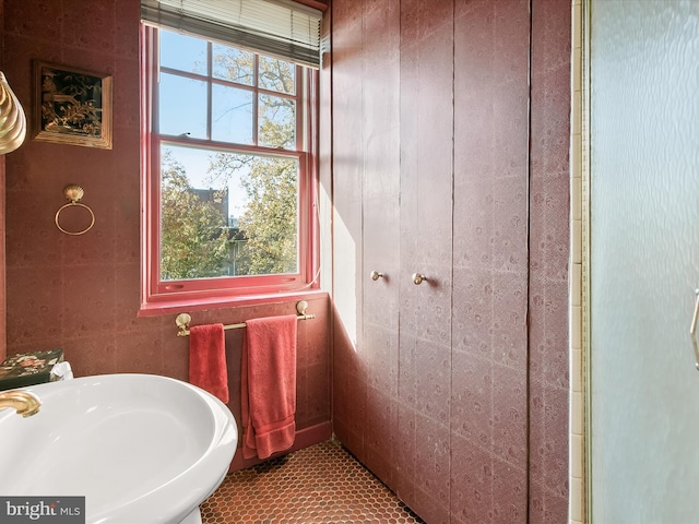 bathroom with a healthy amount of sunlight and a sink