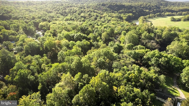 aerial view featuring a view of trees