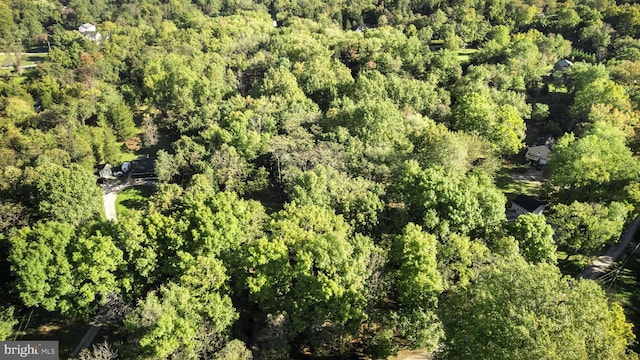 bird's eye view featuring a forest view