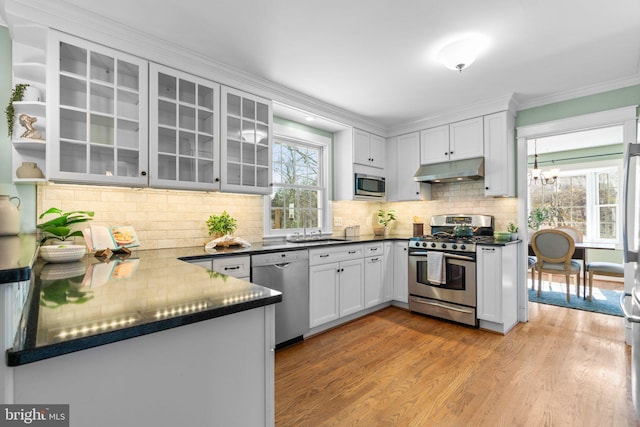 kitchen featuring under cabinet range hood, a sink, dark countertops, wood finished floors, and appliances with stainless steel finishes