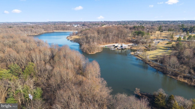 birds eye view of property featuring a water view and a wooded view