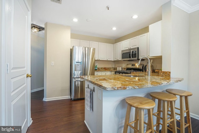 kitchen featuring a sink, stainless steel appliances, a peninsula, light stone countertops, and dark wood-style flooring