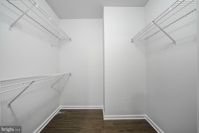 walk in closet with wood finished floors