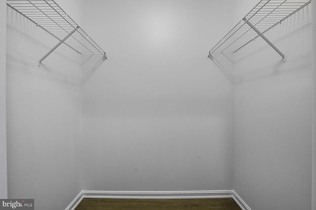 walk in closet featuring dark wood-style floors