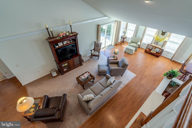 living room featuring vaulted ceiling, wood finished floors, a wealth of natural light, and baseboards