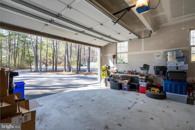 garage with a garage door opener