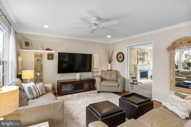 living area with crown molding, recessed lighting, a glass covered fireplace, ceiling fan, and wood finished floors