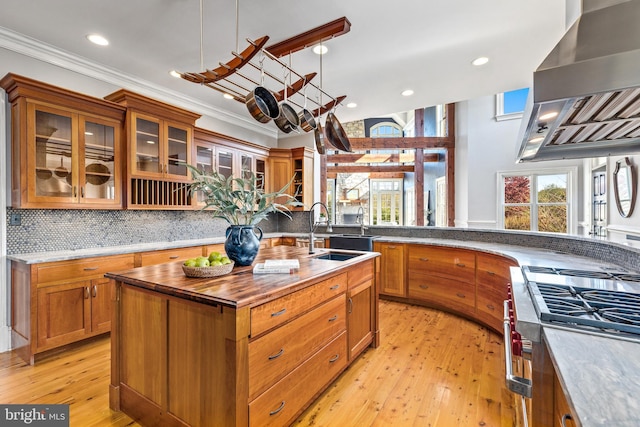 kitchen featuring light wood-style flooring, a sink, an island with sink, and wall chimney range hood
