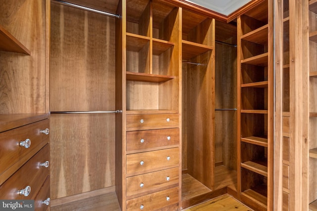 spacious closet with wood finished floors