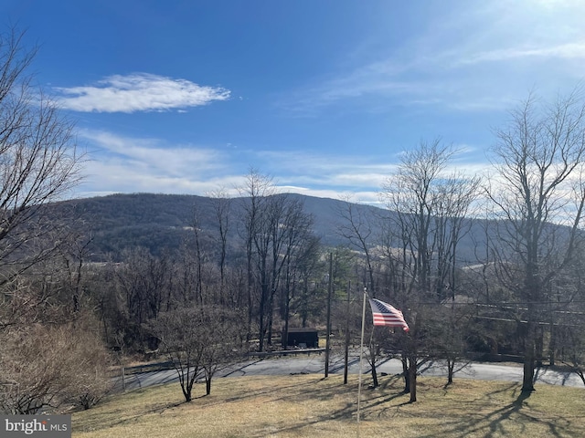 property view of mountains with a wooded view