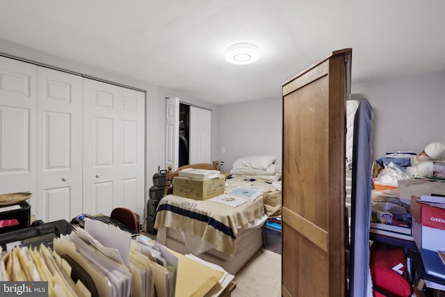 bedroom featuring multiple closets