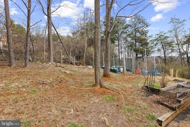 view of yard with a garden