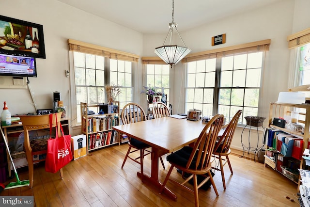 dining area with wood-type flooring