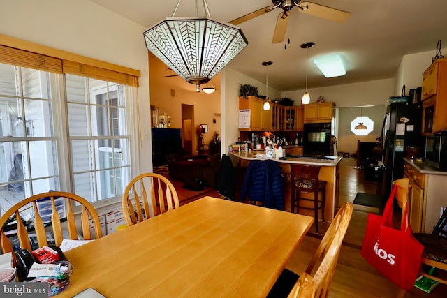 dining area featuring wood finished floors and ceiling fan