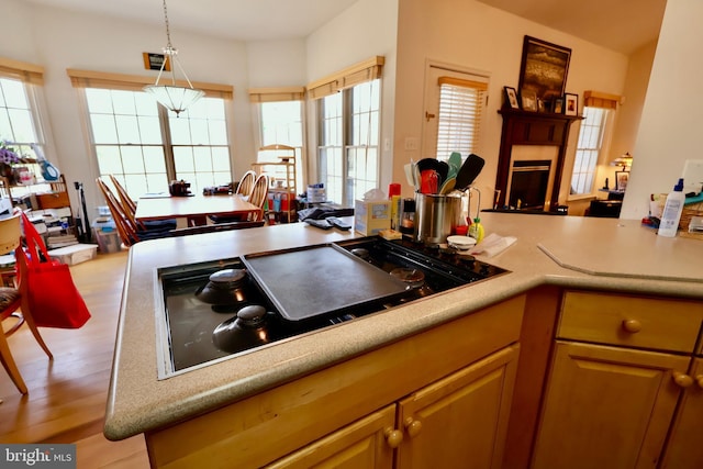 kitchen with black cooktop, light wood-style flooring, open floor plan, a fireplace, and light countertops