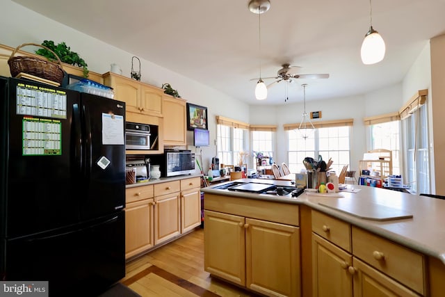 kitchen featuring a wealth of natural light, light wood-style floors, light brown cabinets, and freestanding refrigerator