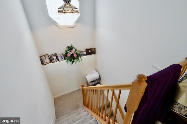 staircase featuring baseboards and carpet floors