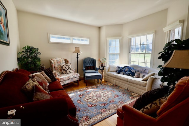 living area with wood finished floors