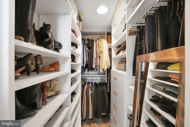 view of spacious closet