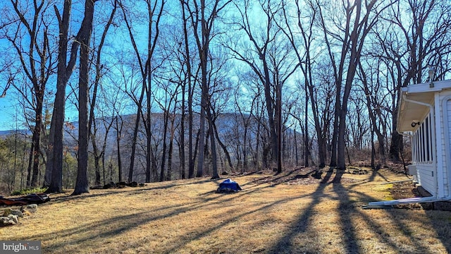 view of yard with a view of trees