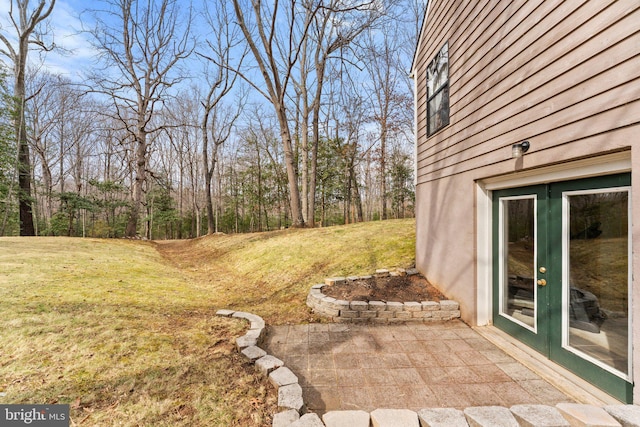 view of yard with a patio area