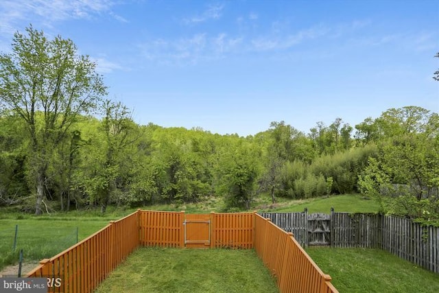 view of yard featuring a fenced backyard and a gate