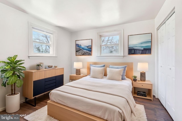 bedroom with a closet, multiple windows, and dark wood finished floors