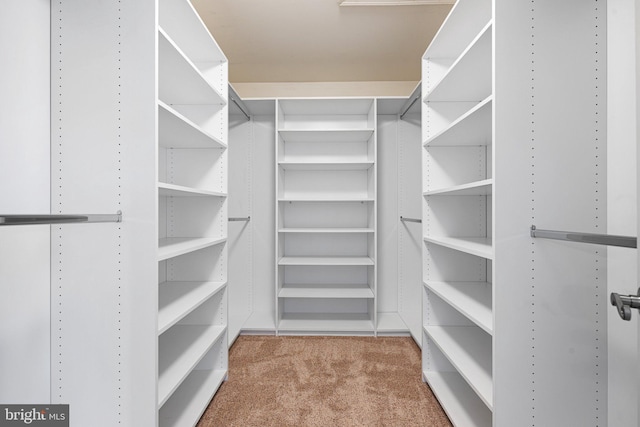 spacious closet with carpet floors