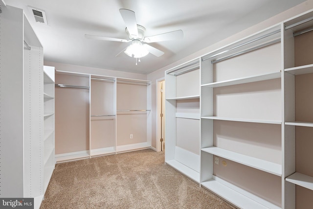 walk in closet featuring carpet flooring, visible vents, and a ceiling fan