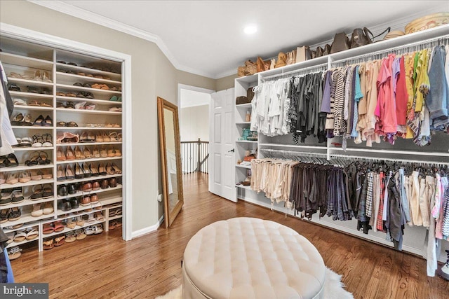 spacious closet featuring wood finished floors