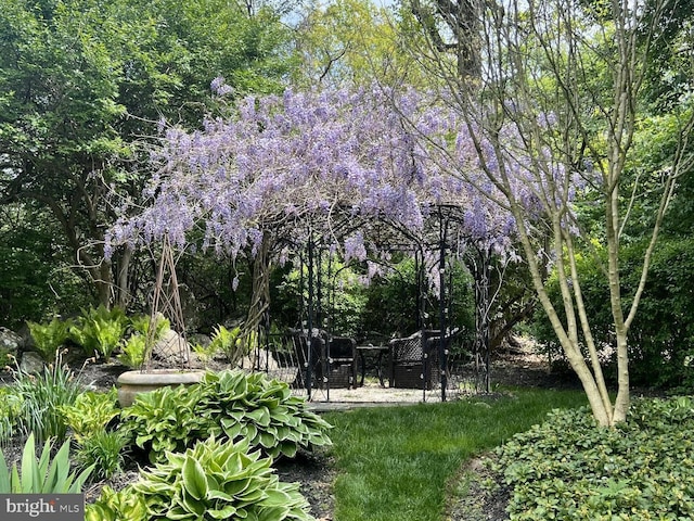 view of yard with a wooded view