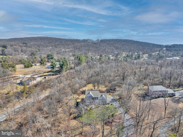 bird's eye view featuring a mountain view and a view of trees