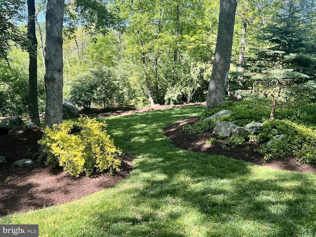 view of yard with a wooded view