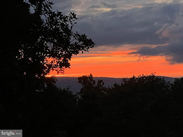 view of nature at dusk