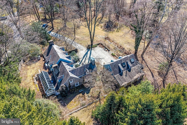 bird's eye view