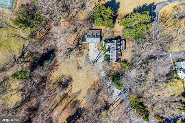 drone / aerial view