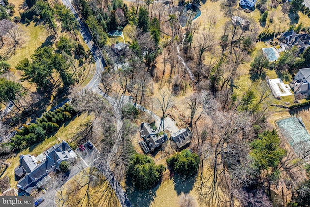 bird's eye view