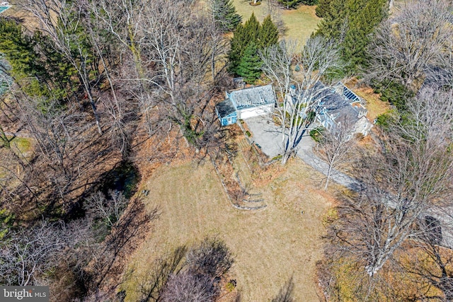bird's eye view