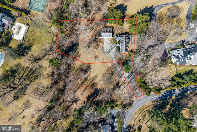 drone / aerial view